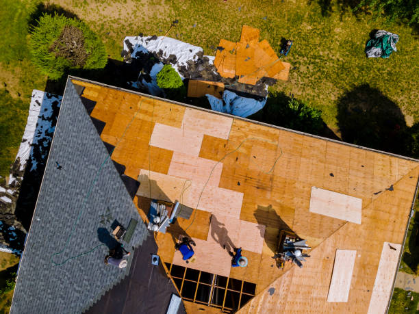 Trusted Edmonton, KY Roofing Contractor Experts